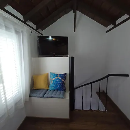 Agapantos * Breña Alta